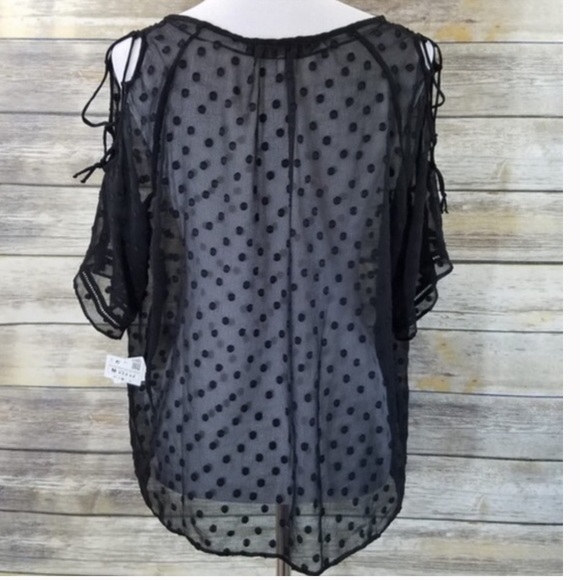 NWOT ZARA Plumetis Sheer Swiss Dot Blouse M - Picture 6 of 7